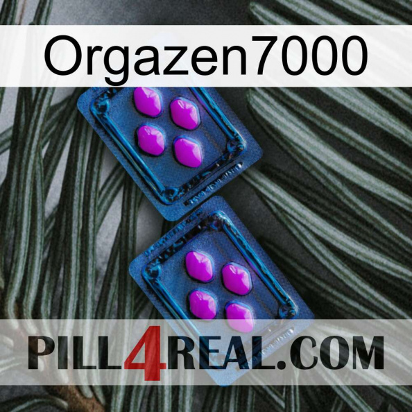 Orgazen7000 03.jpg